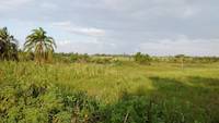 Panorama of the nature in Uganda