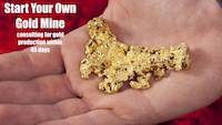 Start Your Own Gold Mine (2) - Your Wealth Plan