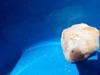 Gold nugget in a rich gold rock