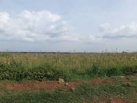 Land under the exploration license in Uganda