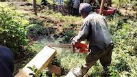 Cutting timber in the forest