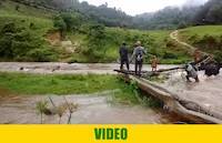 2020-05-02: Passage of cattle over the river Rohezanyinda