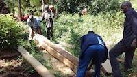 Cutting timber in the forest