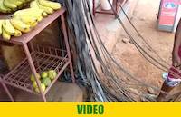 Rubber strings for gold washing sluice