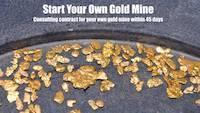 Start Your Own Gold Mine (1) - Introduction
