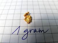 One beautiful gram of gold nugget