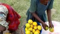 Children selling Mango in Tanzania, around Geita Gold Mine on the road to Mwanza