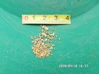 1.28 grams of gold in the gold pan