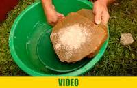 Carefully wash the surface after crushing the rocks into the gold pan