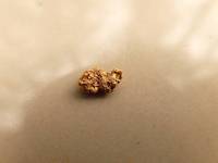 Gold nugget