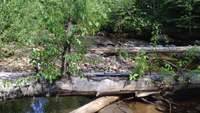 Hixon Creek 001 July 2014