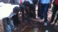 Miners in Mgusu, using "testio" (Swahili) and finding more gold than expected in their tailing