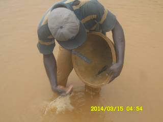 Miner panning the gold concentrates