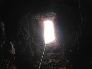 Small Image 6