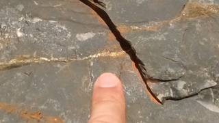 IMG_20170105_105343711.jpg
