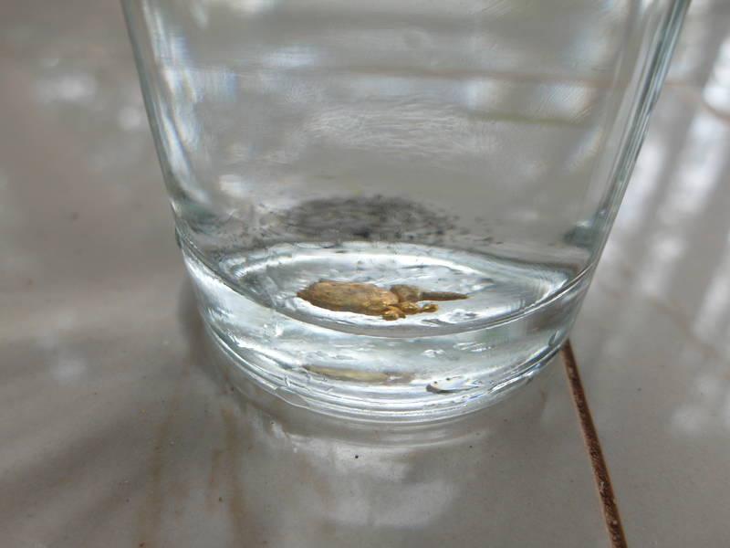 Gold in glass of water