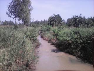 River Okame, water source
