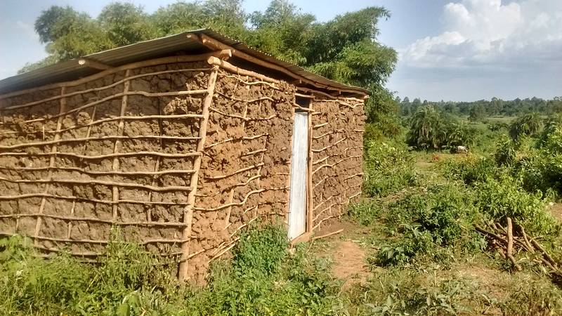 Mud building on the site