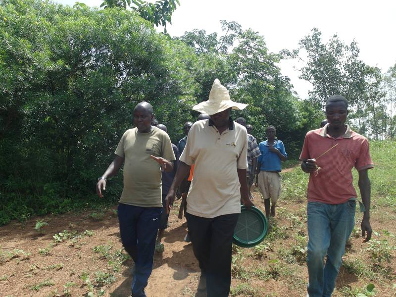 Local miners