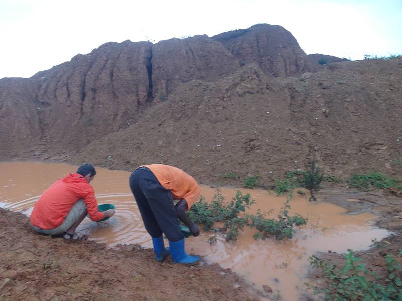 Gold panning and checking for gold existence