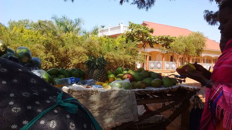 Preparing orange juice