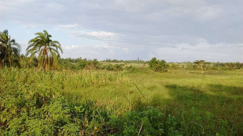 Panorama of the nature in Uganda