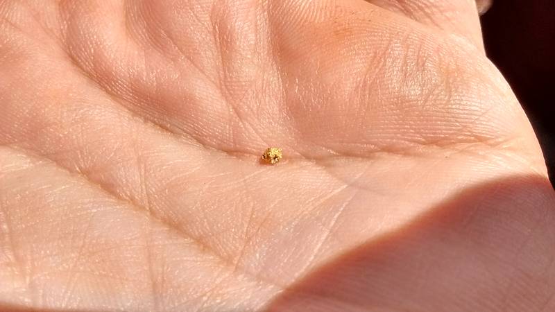 Gold nugget directly recovered on the sluice