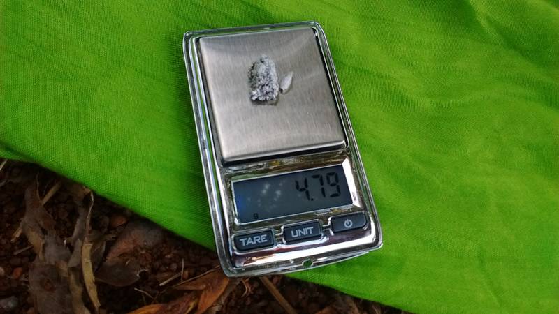4.79 grams of gold on the pocket scale