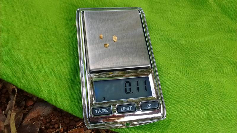 0.11 grams of gold nuggets on the pocket scale