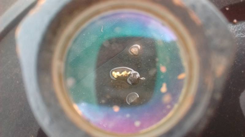 Gold nugget of 2-3 mm under magnification