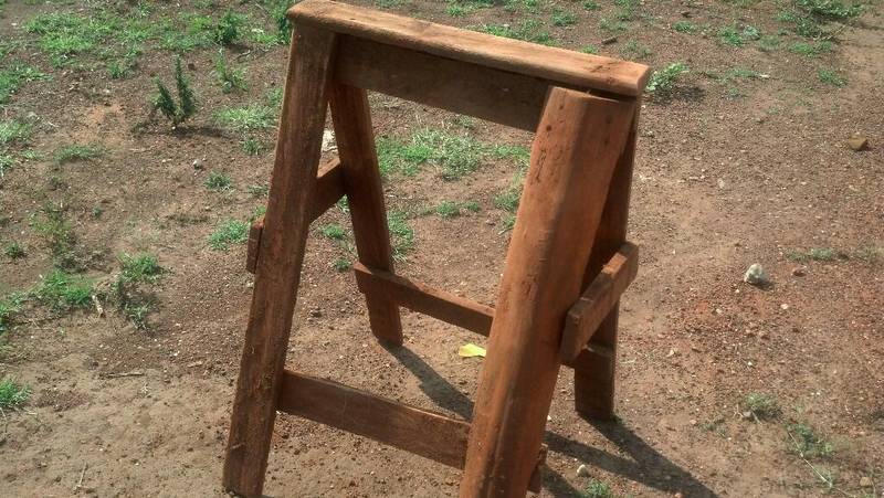 Sawhorse, about one year old