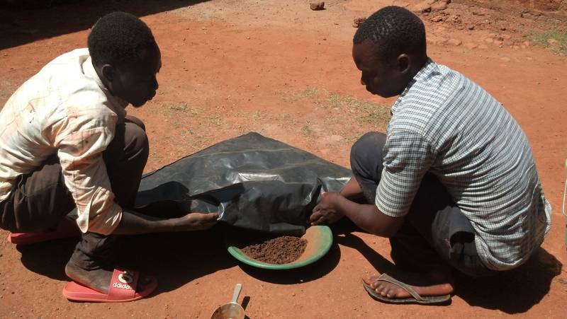 Removing the quarters into gold pan