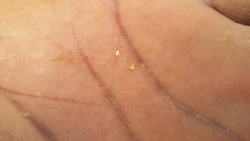 Gold nuggets on the hand