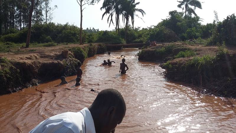 Children swimming on the river Okame, near Busia, Uganda