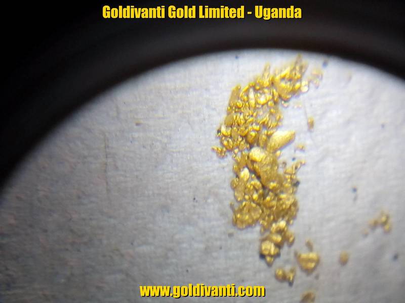 Alluvial gold particles measured by chikolo, Uganda