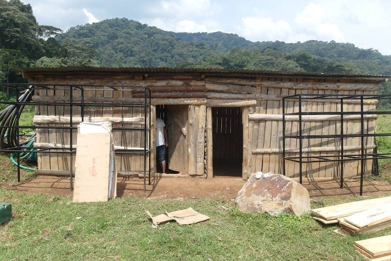 https://www.startyourowngoldmine.com/images/syogm/uganda/2020/02/2020-02-26/800/SAM_0097.JPG