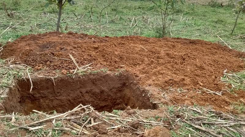 https://www.startyourowngoldmine.com/images/syogm/uganda/2020/02/2020-02-27/800/IMG_20200227_184035665_HDR.jpg