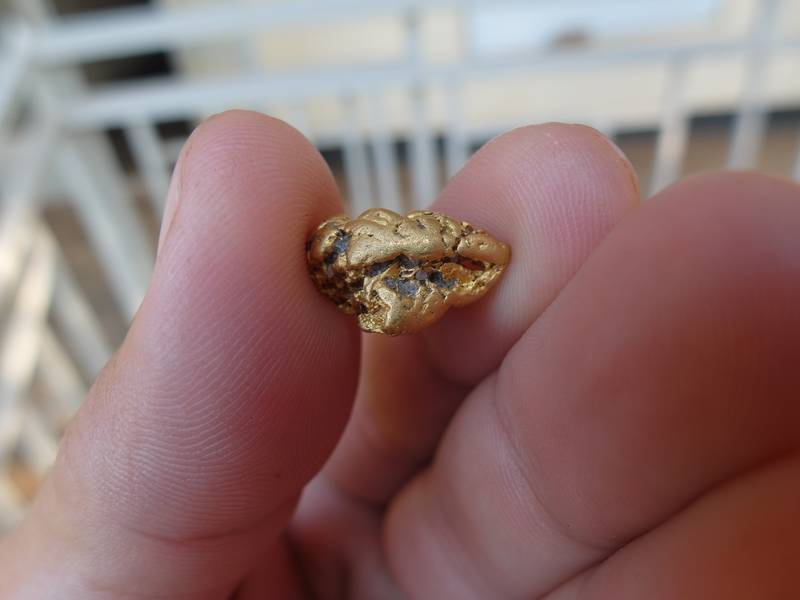 https://www.startyourowngoldmine.com/images/syogm/uganda/2020/07/2020-07-31/800/SAM_0108.JPG