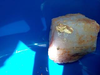 Gold nugget in a rich gold rock