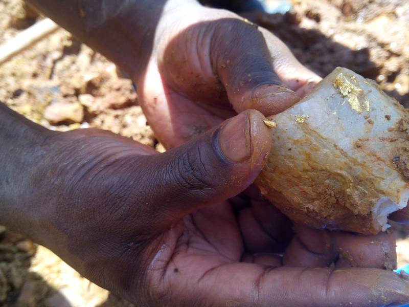 The rich gold ore with gold flakes falling off the rock