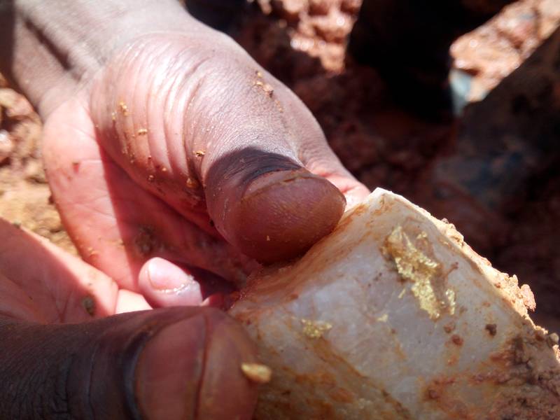 Gold nuggets in rich gold ore