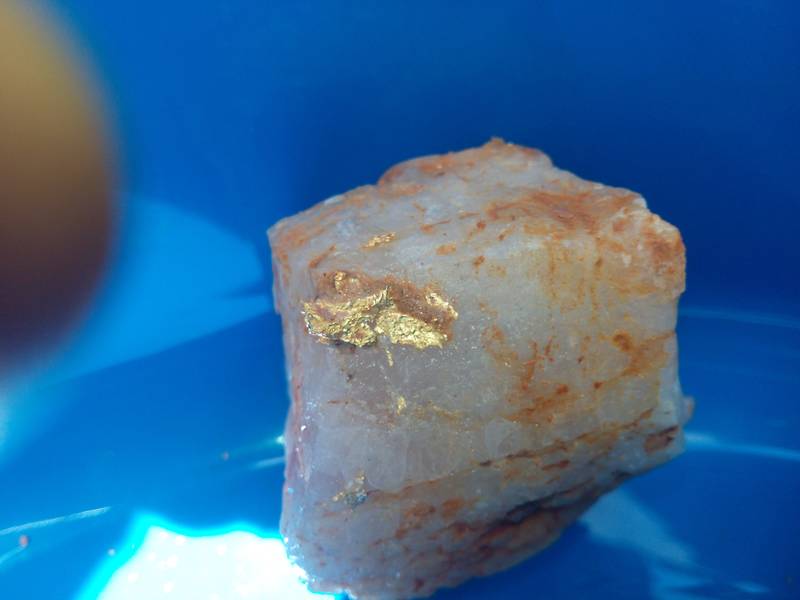 Gold nugget in a rich gold rock